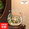 高清魚缸 生態(tài)缸桌面溪流缸迷你金魚缸小型水族箱養(yǎng)魚龜缸PET 大號(hào)魚缸【超清8K高透/摔不碎/久用不糊】 曬單實(shí)拍圖