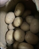 播州鮮貴州新鮮土豆高山馬鈴薯土豆黃皮黃心土豆5斤農家自種蔬菜 新鮮黃皮土豆5斤 （凈重） 曬單實(shí)拍圖