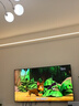 Vidda X Mini 2026款 海信電視75英寸 超高刷QD-Mini LED 以舊換新家電國家補(bǔ)貼游戲液晶AI電視機(jī)75VX3Q 曬單實(shí)拍圖