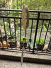硯璽非遺竹編風(fēng)鈴手工diy材料包親子團建沙龍暖場(chǎng)活動(dòng)鈴鐺掛飾禮物 【春意盎然丨米字款】風(fēng)鈴 曬單實(shí)拍圖