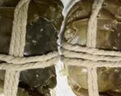 【活蟹】今錦上蘇州大閘蟹2.3-2.6兩 6只鮮活六月黃現(xiàn)貨螃蟹生鮮禮盒 去繩足重源頭直發(fā) 曬單實(shí)拍圖