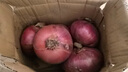 京鮮生 河南紫皮洋蔥帶皮 凈重5斤 單果300g+ 新鮮蔬菜源頭直發(fā) 曬單實(shí)拍圖