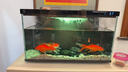 米家（MIJIA）智能生態(tài)魚(yú)缸還原自然生態(tài) 智能魚(yú)缸+濾芯套裝 曬單實(shí)拍圖