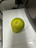 【動(dòng)物奶油】玉菇甜瓜燕麥盒子蛋糕 380g 曬單實(shí)拍圖