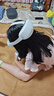 PICO 4 Ultra MR混合現(xiàn)實一體機 小魔方版【OTA升級】VR智能眼鏡看電影投屏游戲機非quest3 曬單實拍圖