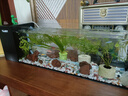 爬將軍生態(tài)溪流魚缸一體缸免換水自循環(huán)一體缸魚缸桌面客廳臥室玄關(guān)魚缸 60溪流缸【雨淋造浪】 曬單實(shí)拍圖