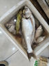 沃鼎王者神劍三代釣魚(yú)竿碳纖維超輕鯽魚(yú)竿大物竿魚(yú)桿臺釣竿5.4米 5.5H 曬單實(shí)拍圖