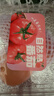 自然熟西紅柿約500g 曬單實(shí)拍圖