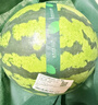 【產(chǎn)地直采】麒麟奶油西瓜 約5.5kg 曬單實(shí)拍圖