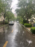 KOOGIS美白丸淡斑褪黑美白全身小分子純原料美白膠原蛋白肽精華液 曬單實(shí)拍圖