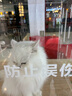 William fox&sons男裝復古重磅坑條燈芯絨面料寬松廓形極簡(jiǎn)風(fēng)Studio系列直筒休閑褲 咖啡色 M 曬單實(shí)拍圖