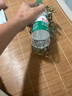 金鉆鳳梨手撕小鳳梨新鮮熱帶水果生鮮水果金鉆非菠蘿源頭直發(fā) 【1個(gè)】單果400-650g 曬單實(shí)拍圖