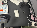 卓威奇亞（ZOWIE GEAR）G-TR 電競(jìng)鼠標(biāo)墊 細(xì)面鼠標(biāo)墊 游戲鼠標(biāo)墊 控制墊 澀墊 電競(jìng)桌墊 GTR 曬單實(shí)拍圖