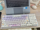 羅技（Logitech）ALTO KEYS K98M/K98S客制化機械鍵盤(pán) 無(wú)線(xiàn)藍牙鍵盤(pán)雙模mac ipad鍵盤(pán)98鍵游戲辦公家用鍵盤(pán)AI熱插拔 K98M珍珠白+紫色漸變兔鍵帽 曬單實(shí)拍圖