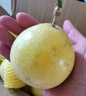 京鮮生 欽蜜9號黃金百香果 5斤單果90g+ /20-30個 生鮮水果 源頭直發(fā) 曬單實拍圖