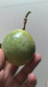 京鮮生廣西欽蜜9號黃金百香果3斤凈重45-60g /24-36個生鮮水果 源頭直發(fā) 曬單實拍圖