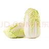 三寶白菜約650g(大娃娃菜) 曬單實拍圖