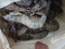 1號會(huì )員店精選鹽田有機白蝦 海鮮食材 無(wú)抗養殖 有機鹽田白蝦 1kg/袋 曬單實(shí)拍圖