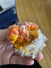 【活蟹】陽(yáng)澄姑娘大閘蟹 現貨鮮活大螃蟹公母蟹 海鮮水產(chǎn)生鮮禮盒 公蟹4.0-4.3兩母蟹3.0-3.3兩 5對10只裝 曬單實(shí)拍圖