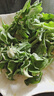 農(nóng)大姐妹順豐速運(yùn) 新鮮冰菜 冰草  新鮮蔬菜現(xiàn)摘冰葉 冰花 即食沙拉菜 1斤 曬單實(shí)拍圖