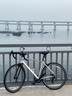 迪卡儂RC100升級版公路自行車(chē)Van Rysel男女騎行單車(chē) Van Rysel 銀色 M碼 適合身高175cm~180cm 曬單實(shí)拍圖