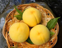 京鮮生 山西黃金蜜雪桃 凈重4.5斤 單果150g+ 新鮮水果 源頭直發(fā) 曬單實(shí)拍圖