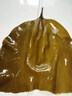 金唐 霞浦海帶頭250g/袋裝 特厚葉片昆布根梗煲湯火鍋 海產(chǎn)干貨 曬單實(shí)拍圖