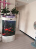 美諾魚(yú)缸客廳免換水家用中小型智能1.2米雙圓形靠墻大型背濾金龍魚(yú)缸 白冰花【高清玻璃+顯示屏+魚(yú)缸大禮包】 80*50*138 曬單實(shí)拍圖