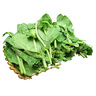 【嫩芽尖尖】豌豆尖250g(長度≤15cm) 曬單實拍圖