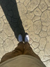 匡威（Converse）官方All Star經(jīng)典帆布男女低幫休閑運(yùn)動(dòng)小白鞋101000 101000/白色 41 曬單實(shí)拍圖