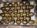 佳沛（zespri）新西蘭 新果季 陽光金奇異果33粒原箱單果重約101-114g 獼猴桃 曬單實拍圖