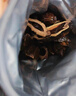 和成天下 和成天下金石之交海南檳榔 48g5袋金石之交 曬單實(shí)拍圖
