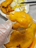 家來香沙姜雞 預制菜成品加熱即食真空包裝 廣東特產(chǎn)下酒菜雞肉 沙姜雞300g 曬單實拍圖