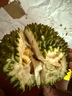 什果樂貓山王榴蓮（D197）馬來西亞進(jìn)口帶殼整果液氮冷凍水果禮盒 尊選果凈重4.0-4.6斤（包4-5房） 曬單實(shí)拍圖