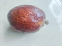觀玉佛心果菩提吊墜彩色粉色原籽原色手串釋迦佛心菩提空心金七夕禮物 彩色大果一個不帶工具 曬單實拍圖