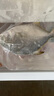 翔泰海南深海金鯧魚700g 2條 燒烤 火鍋 生鮮魚類 BAP認證 海鮮水產(chǎn) 曬單實拍圖