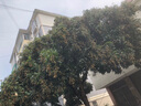 得力（deli）【超級(jí)爆款】補(bǔ)鞋膠水 粘鞋專用強(qiáng)力膠 無痕膠透明防水不泛白 皮鞋籃球鞋脫膠修補(bǔ) 60ML/支 53582 曬單實(shí)拍圖