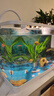 闊庭（KUOTING）魚缸水族箱生態(tài)桌面魚缸新款懶人魚缸過濾制氧一體白色【特大號】 曬單實拍圖