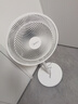 美的（Midea）電風(fēng)扇 家用七葉立式落地扇宿舍臥室輕音節(jié)能搖頭桌面小風(fēng)扇大風(fēng)力空氣循環(huán)風(fēng)扇 SAF30AC  曬單實拍圖