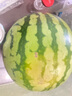 【產(chǎn)地直采】麒麟奶油西瓜 約5.5kg 曬單實(shí)拍圖