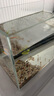 坤寧王金晶超白玻璃魚(yú)缸桌面造景小魚(yú)缸家用客廳裸缸一體缸30*17*20cm 曬單實(shí)拍圖