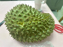 京鮮生 進(jìn)口金枕頭榴蓮 凈重6-7斤 1個(gè)裝  鮮果 生鮮 新鮮水果 曬單實(shí)拍圖