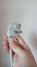 公牛（BULL）分控插座/插線(xiàn)板/插排/排插/接線(xiàn)板/宿舍家用桌面拖線(xiàn)板 GN-B3043  4位分控全長(cháng)3米 獨立開(kāi)關(guān) 曬單實(shí)拍圖