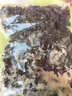 裙帶菜 鮮海帶非干貨海帶嫩苗兒童海菜海白菜海藻菜涼拌 裙帶菜嫩葉500g 曬單實(shí)拍圖