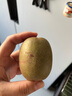 京鮮生 四川紅心獼猴桃24粒裝 單果90-110g 新鮮水果 源頭直發(fā)包郵 曬單實(shí)拍圖