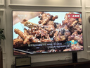 海信（Hisense）電視小墨E5Q Pro 85英寸超畫質U+MiniLED 信芯芯片 墨晶屏300Hz高刷85E5Q-PRO 官方旗艦店 85英寸 85E5Q-PRO【國家補貼20%】 曬單實拍圖