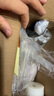 博樂達(dá)水楊酸30%【防偽可查 】博樂達(dá)高濃度水楊酸 指導(dǎo)操作 30%水楊酸源碼防偽可查 曬單實(shí)拍圖