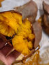 京覓正宗山東煙薯25蜜薯 甄選中果4.5斤 單果120g+ 現挖紅薯 源頭直發(fā) 曬單實(shí)拍圖