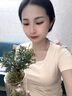 放青松夜間小夜燈床頭臥室睡眠燈客廳創(chuàng)意氛圍感擺件男女生日禮物 有光青年【真綠植盆栽擺件】插電 曬單實(shí)拍圖