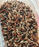 十月稻田×PLUS會(huì )員聯(lián)名款 五色糙米 2.5kg 糙米 黑米紅米 五谷雜糧米 5斤 曬單實(shí)拍圖